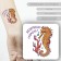 Tattoo on the body color "Unearthly horse" 6x6 cm