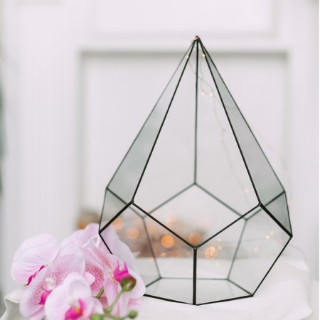Florarium "Pyramid" Bolshoi (Switch Silver)-2
