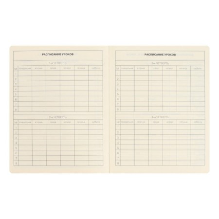 School diary for grades 1-11 Schoolmix. Koala, hard cover, artificial leather, with foam, liesse, 48 sheets, tinted block 70g/m2-4