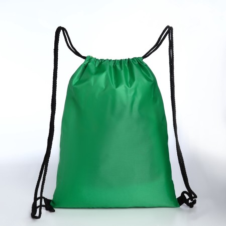 Bag for shoes on the lace, green color-1