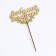 Topper wooden "beloved mommy" Golden give beautifully 14.3x8.2 cm