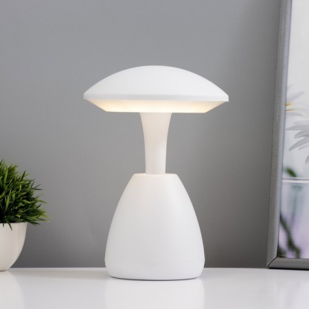 Table lamp "SOPP" LED 3W sensor 3000-6000K USB AKB 14.5x14.5x21 cm Risalux-1