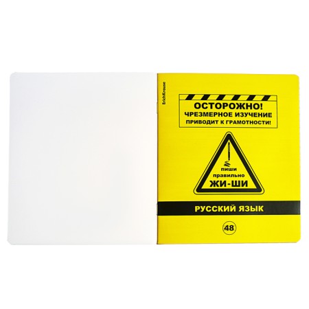 A set of subject notebooks 48 sheets, 12 pieces, Erichkrause "BENFORMED", plastic cover silk-screen cover, OFSET BELICE 100%, info block-14