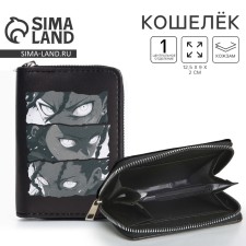 Youth wallet 
