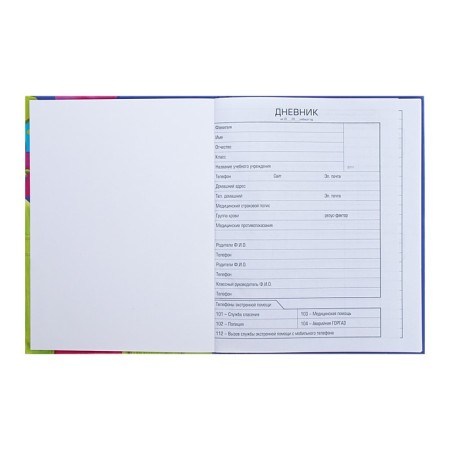 Universal diary for grades 1-11 Bright Mix, hard cover, glossy lamination, 40 sheets-4
