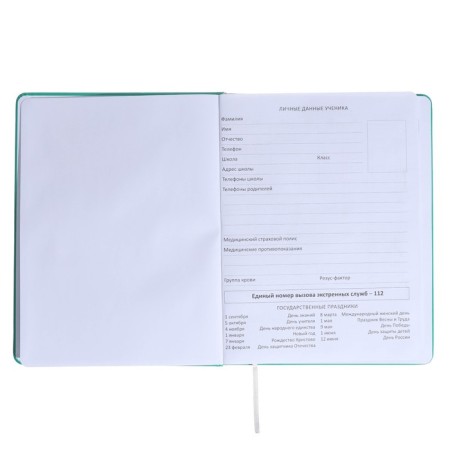 Universal diary for grade 1-11 Kitties, hard cover, artificial leather, silk-screen printing, Lyasse, 80 g/m2-3