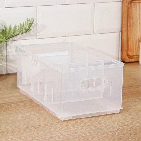 Storage container without a cover of Rolly, 5 l, 16.8 × 30.5 × 12.9 cm, transparent-1