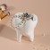 Interior subject "tooth" height 9.5, 7.5*6.5 cm white