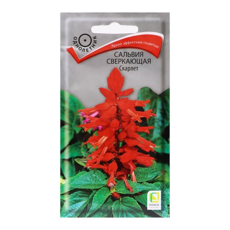 Salvia flowers sparkling "Scarlet", 0.3g.