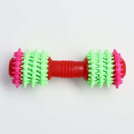 Chewing toy 15.5 x 5.5 cm, red/green/pink-1