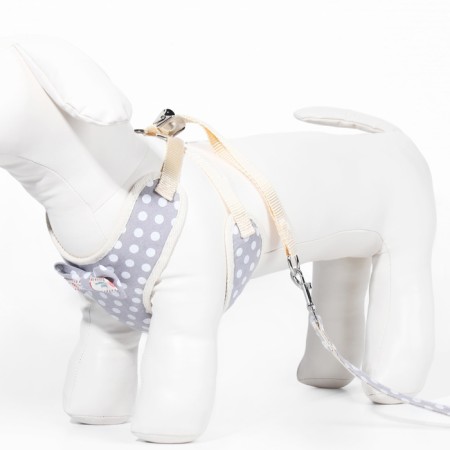 A set with a soft harness "peas", size S, leash 120 x 1.5 cm, og 28-62 cm, gray-3