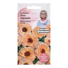 Calendula flowers 