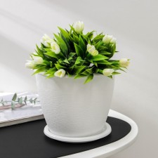 Pot with the Podon 