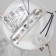 Scurry "Furia" 1x60W E27 gold, white