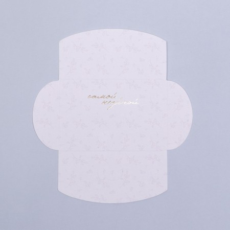 Convert for a certificate with embossing "Tenderness" 10.5 x 7 set 10 pcs-4