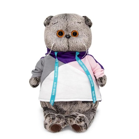 Soft toy "Basik in a multi -colored sweatshirt", 19 cm