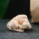 Figure "Tsun-Ukun" ivory, 3x2x3cm