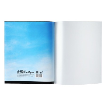 Subject note Calligrata Top "School style", 48 sheets in the line Russian, with reference material, plastic cover, offset unit-5