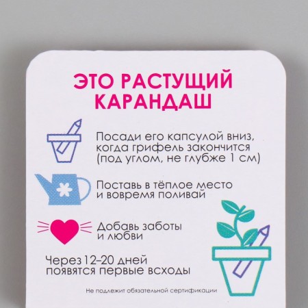 Growing gift pencils mini give joy "clove"-2