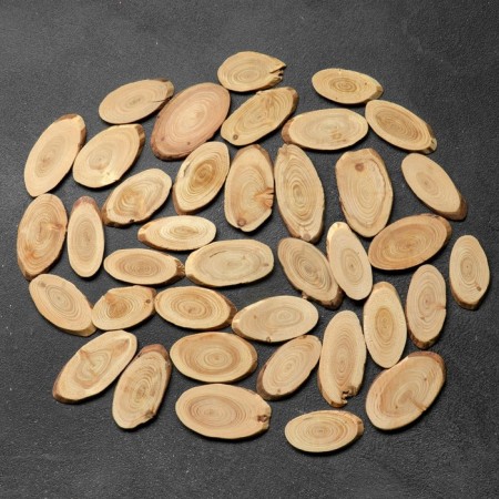 Saw a tree "larch", oval, d = 3-4 cm, h = 3.5 mm-1