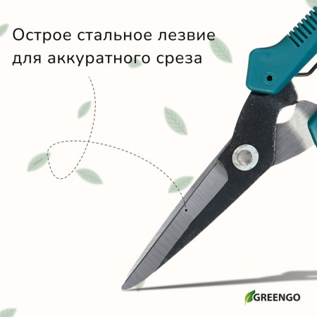 Garden scissors, 7 "(18 cm), with plastic handles, Greengo-5