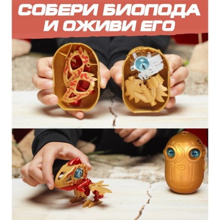 YCOO Biode robot, double goep, dragon and turtle-1