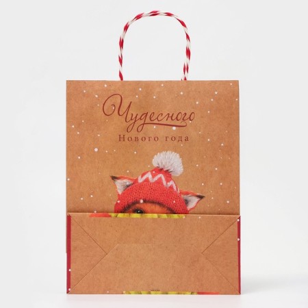 Gift Package "Wonderful New Year" 18 x 22.3 x 10 cm-2
