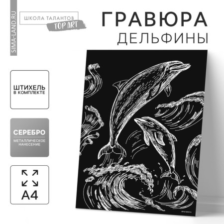 Engraving "dolphins" with a metallic effect "silver" A4