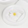 Lupa lamp for LEDX18 creativity from 3AAA, USB white 24.5x22 cm