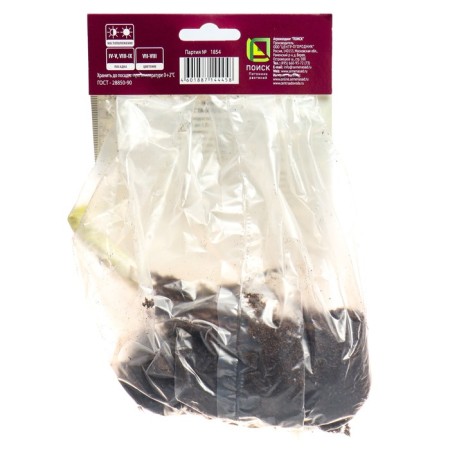 Host Hybrid Robert Frost, I Rn, 1 pc. 60*90 h (cm), autumn 2024-1