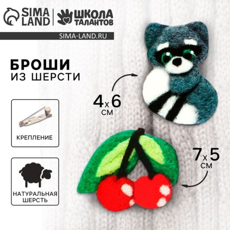 Set for creating brooches made of wool "Raccoon with a cherry"