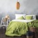 Set "Flash": a bedspread 160 x 220 cm, pillowcase 40 x 40 cm - 2 pcs, green color