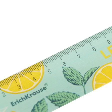 Ruler 20 cm Erichkrause, plastic, in a box box, mix for girls-2