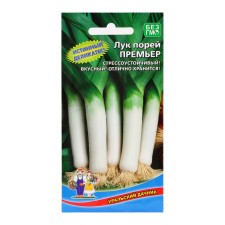 Semen onions 