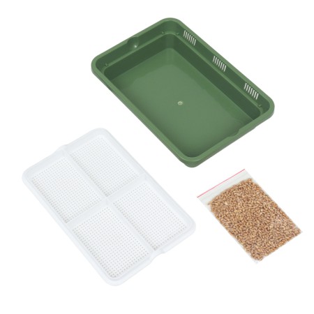 Tray for germination of grass to cats 26.5 x 17.5 x 5 cm-6