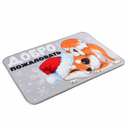 Rapid rug "Welcome", 40 x 60 cm-2