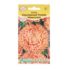 Flower seeds Astra Pionovite royal size, apricot, 0.1 g