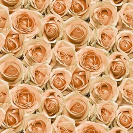 Wallpapers Washing on a paper basis Saratov wallpaper F597-02 Rose, 0.53*10m