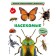 Insects