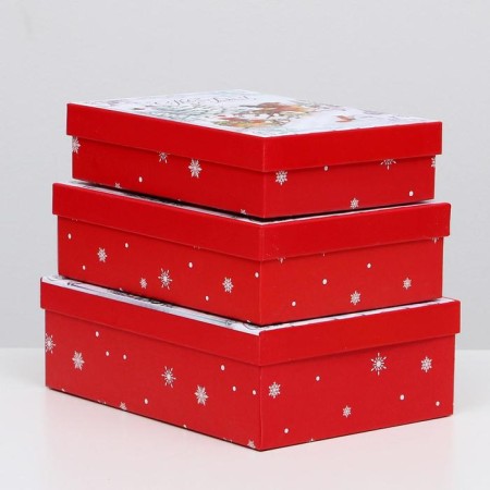 A set of boxes 3 in 1 "Troika", 21 x 29 x 9 - 18 x 26 x 6 cm-1