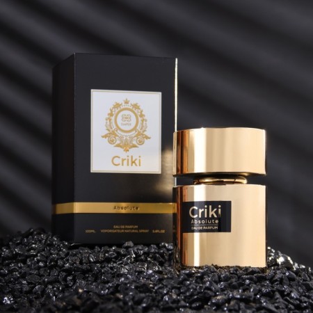 Men's toilet water Criki Absolute, 100 ml
