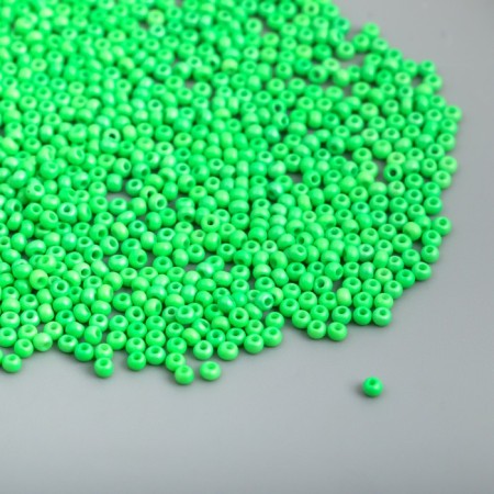 Glass bead 12/0 "grassy" smooth No. 677 450 gr