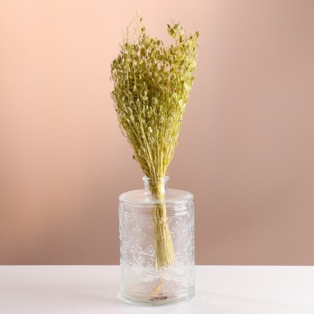 Set of dried flowers "Monetnik", banch length 60 (+/- 6 cm), green