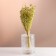 Set of dried flowers "Monetnik", banch length 60 (+/- 6 cm), green