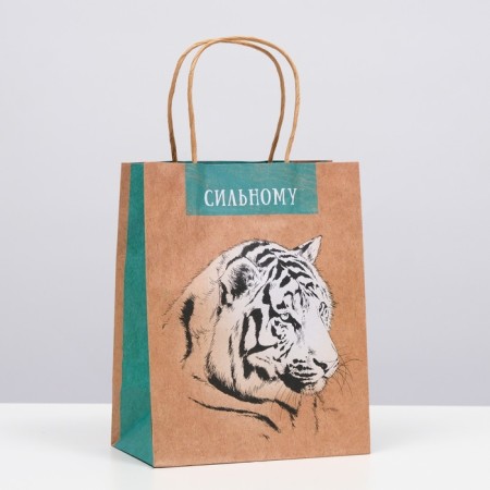 Gift package "strong" 18 x 22.3 x 10 cm