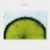 Board Ground Glass Daulay "Juicy Lime", 30 × 20 cm