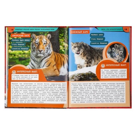 Encyclopedia "Animals of the Red Book of Russia. Endangered species"-4