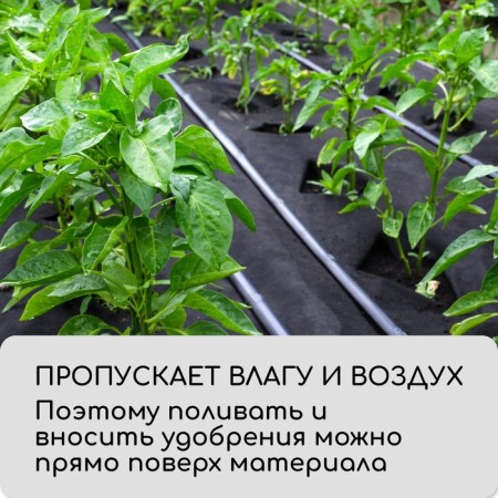 Mulching material, with perforation (4 rows), 20 × 1.6 m, density 80 g/m², spanbond with UV stabilizer, black, Greengo, economy 30%-6