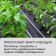 Mulching material, with perforation (4 rows), 20 × 1.6 m, density 80 g/m², spanbond with UV stabilizer, black, Greengo, economy 30%