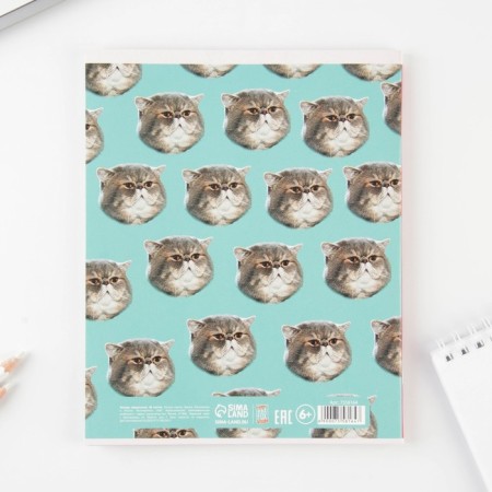 An objective note 48 sheets, A5, notifications, from reference. mat. "September 1: Geography", cover coated cardboard 230 gr., Inner block in a cage 80 gr., White is 96%-2